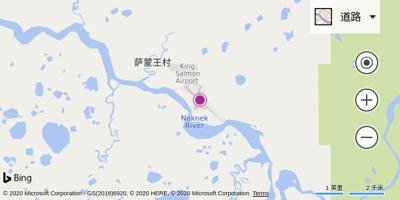 萨蒙王村机场