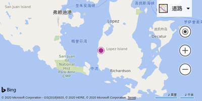洛佩兹岛机场