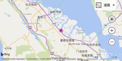 圣卡洛斯机场